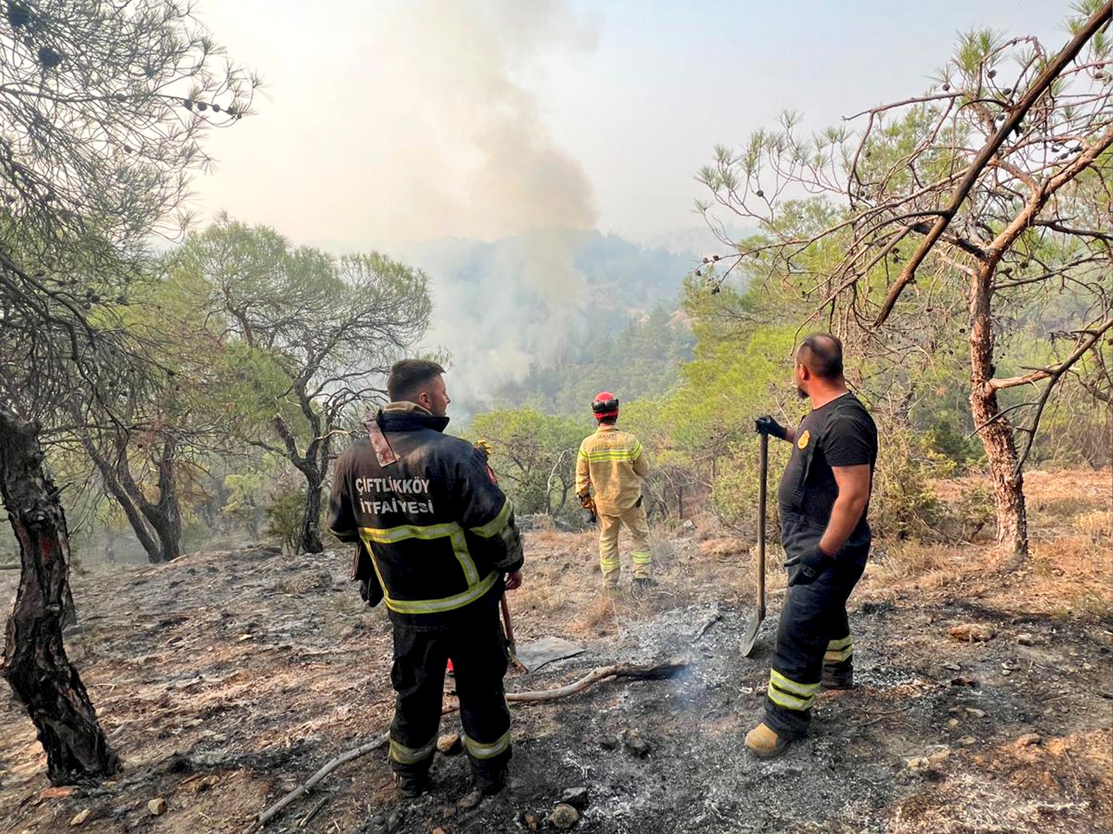 ÇİFTLİKKÖY'DEN SAKARYA YANGININA DESTEK