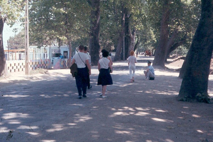 1964 YILINDA YALOVA GAZİPAŞA CADDESİ