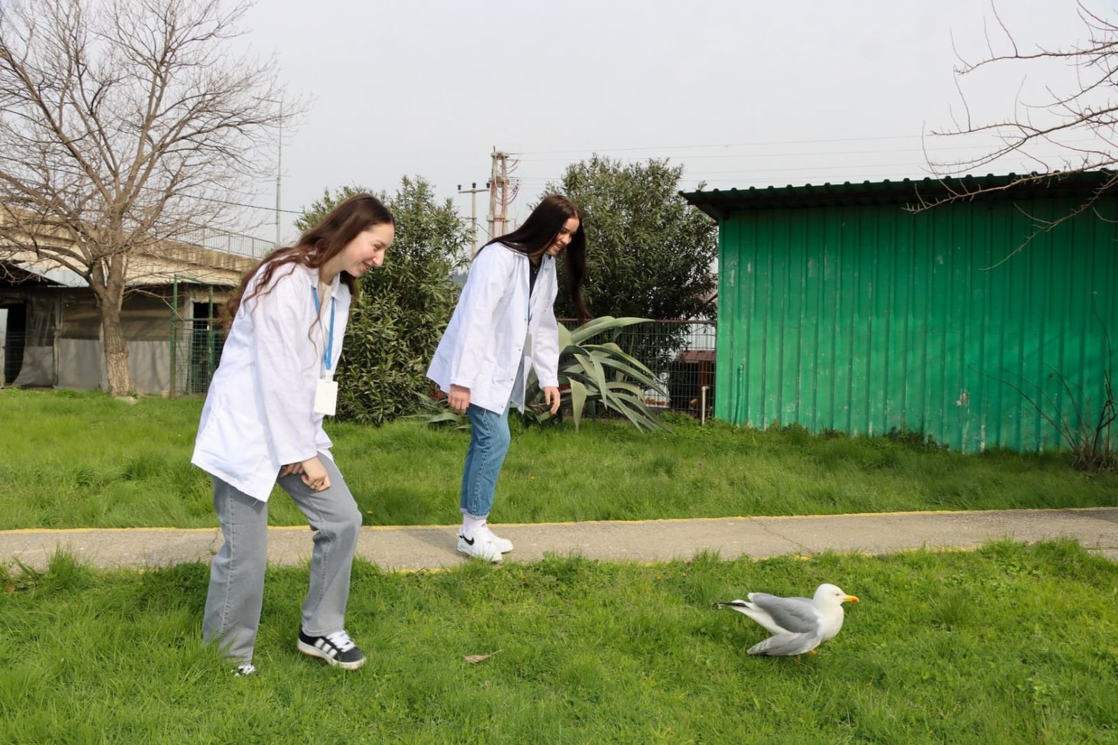 YABANCI ÖĞRENCİLER YALOVA'DA STAJ'DA