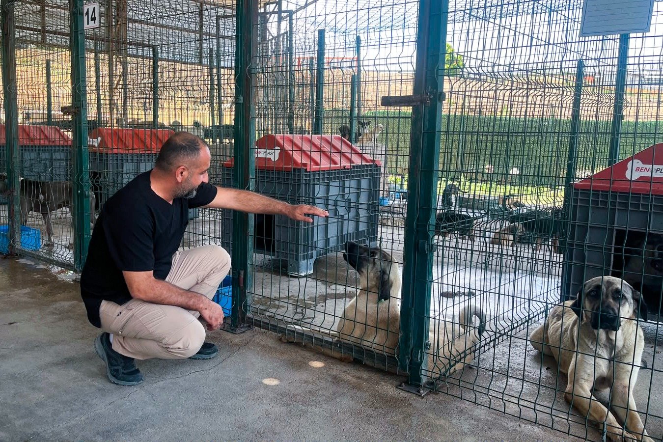 ÇİFTLİKKÖY’DE CAN DOSTLARA DESTEK 