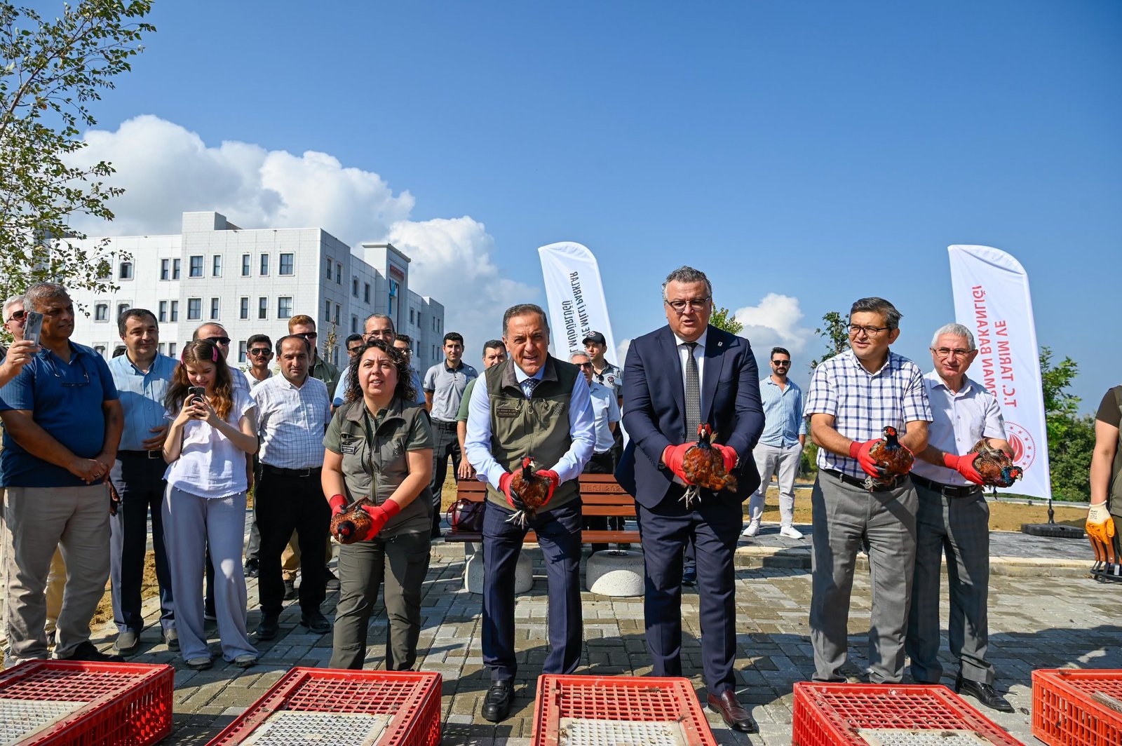 YALOVA ÜNİVERSİTESİNDE SÜLÜN SALIMI