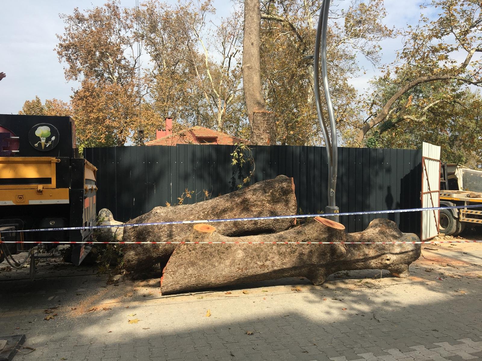 KARACA CAFEDE ANIT AĞAÇ BÖYLE KESİLDİ