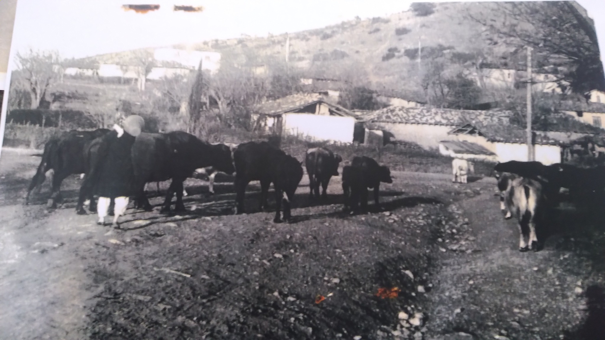 1970 YILINDA YALOVA KABAKLI KÖYÜ