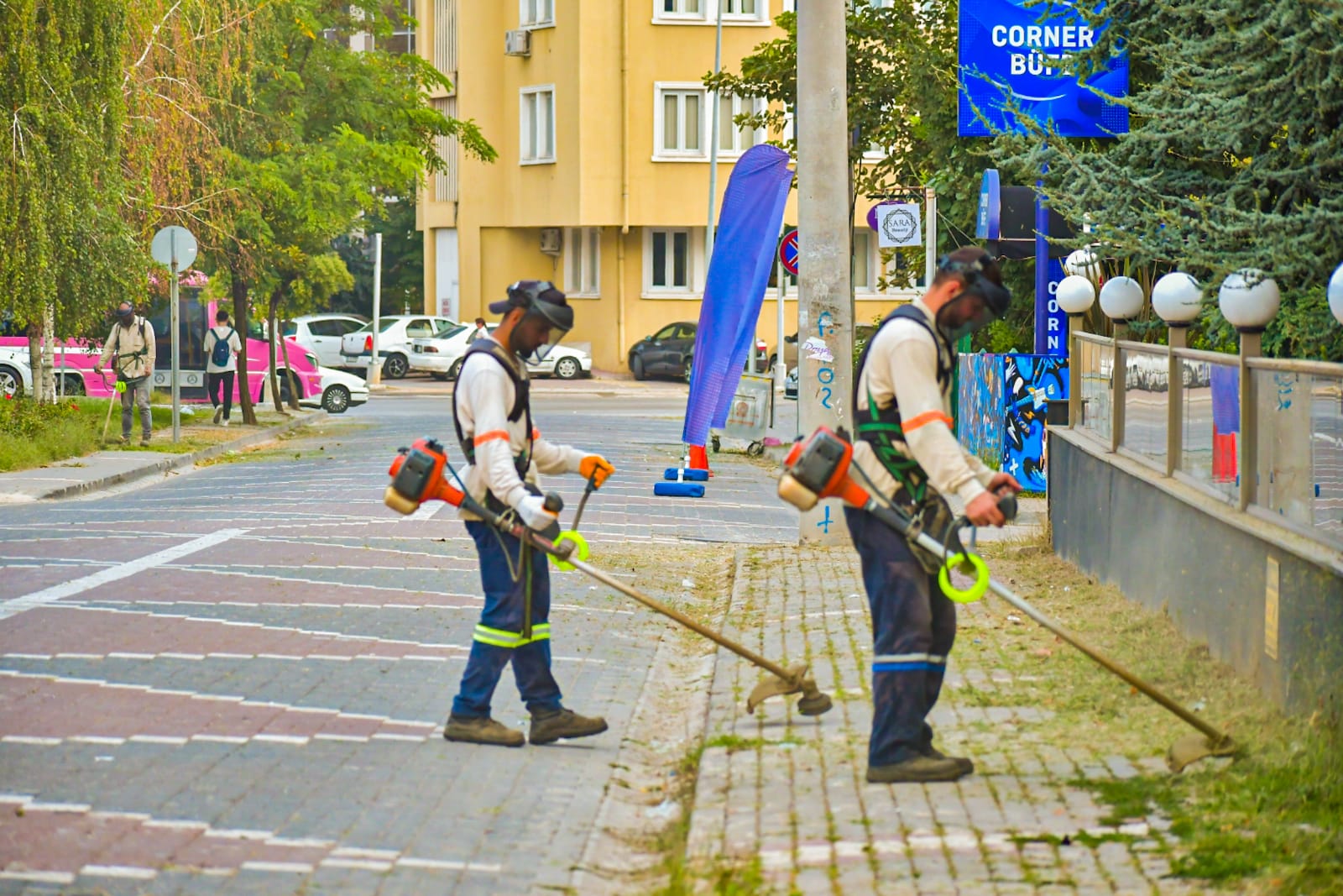 YABANİ OT TEMİZLEME ÇALIŞMALARI 