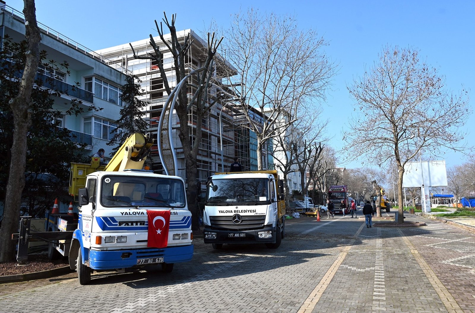 GAZİPAŞA CADDESİ’NDE AĞAÇ BUDAMASI 
