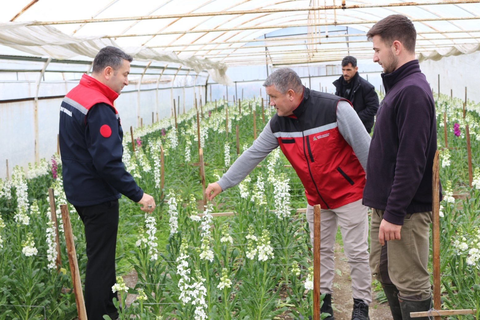 ÇİÇEK ÜRETİCİLERİNE 14 ŞUBAT ZİYARETİ