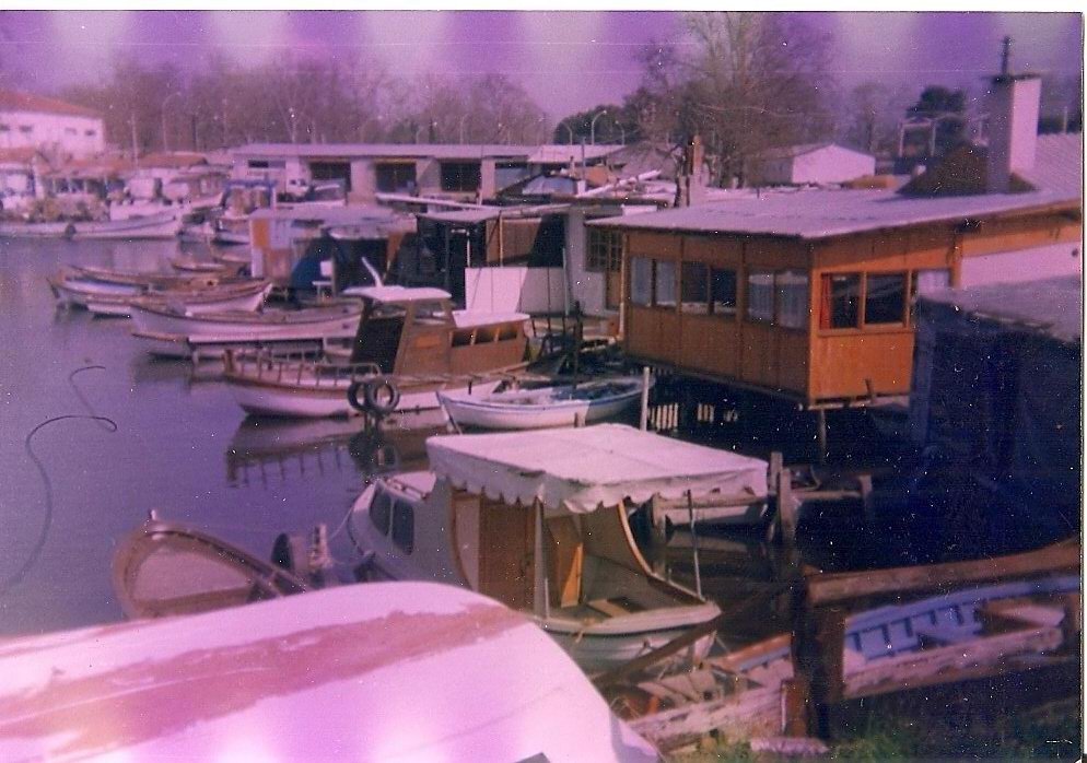 1985 YILINDA YALOVA DEREAĞZI BÖYLEYDİ