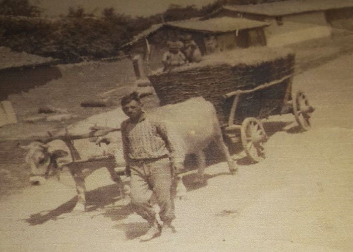 1967 YILI GEYİKDERE KÖYÜ HASAT ZAMANI