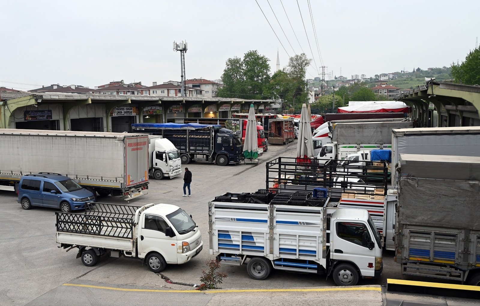 YALOVA PATATES TÜKETMEYE DEVAM EDİYOR