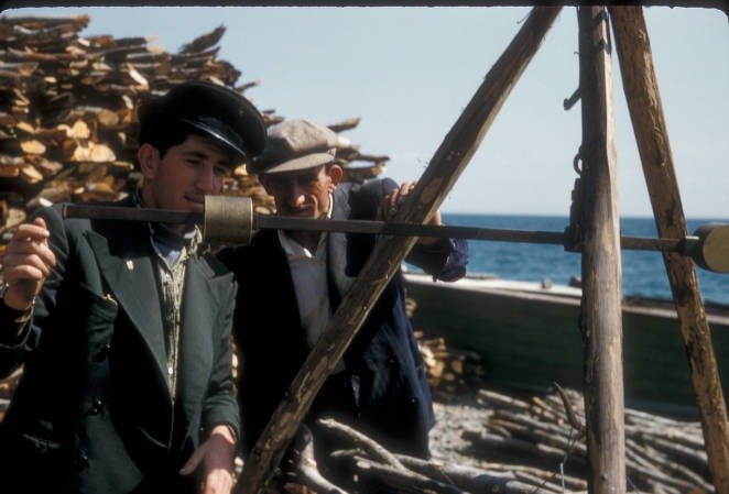 1955 YILI ÇINARCIK'TA KANTARLA ODUN SATIŞI