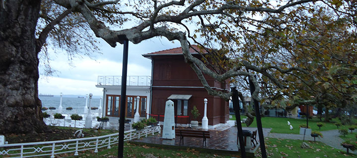 YÜRÜYEN KÖŞK ÇINAR AĞACI BAKIMA ALINDI