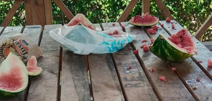 SUBAŞI'NDA  TEPKİ ÇEKEN GÖRÜNTÜLER