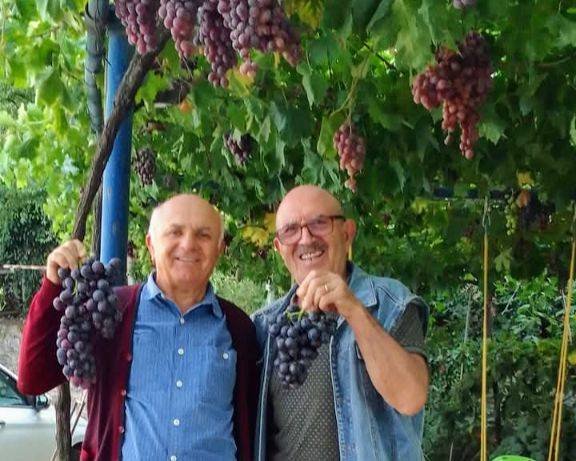 SİNAN BOZOĞLU HOCANIN ÜZÜMLERİ...