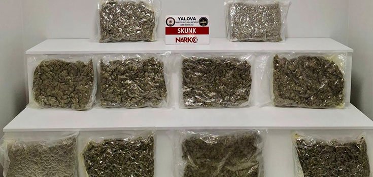 YALOVA'DA UYUŞTURUCU OPERASYONU