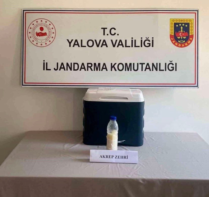 5 MİLYON DOLAR DEĞERİNDE AKREP ZEHİRİ