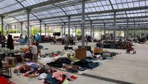 2023  MART AYI YALOVA BİT PAZARI