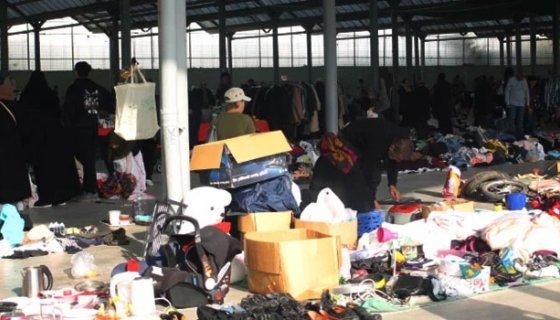 2025 YILI KASIM AYINDA BİT PAZARI